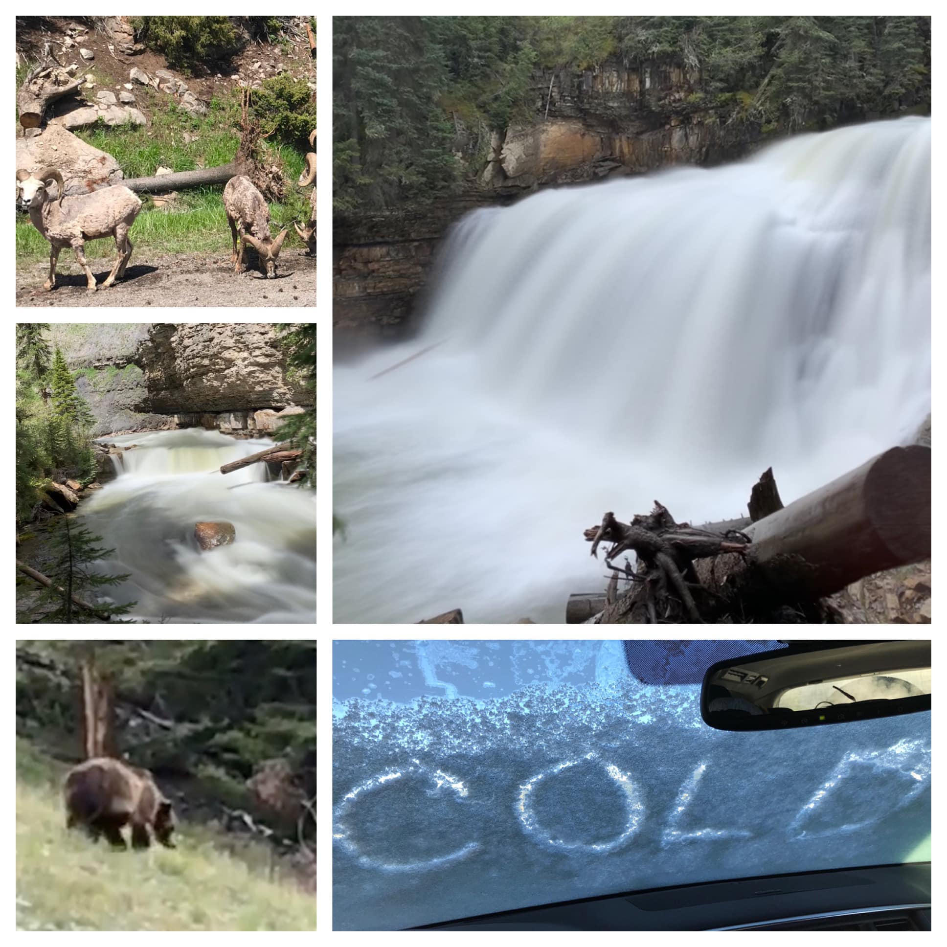 Montana & Glacier National Park — family travel photo 4