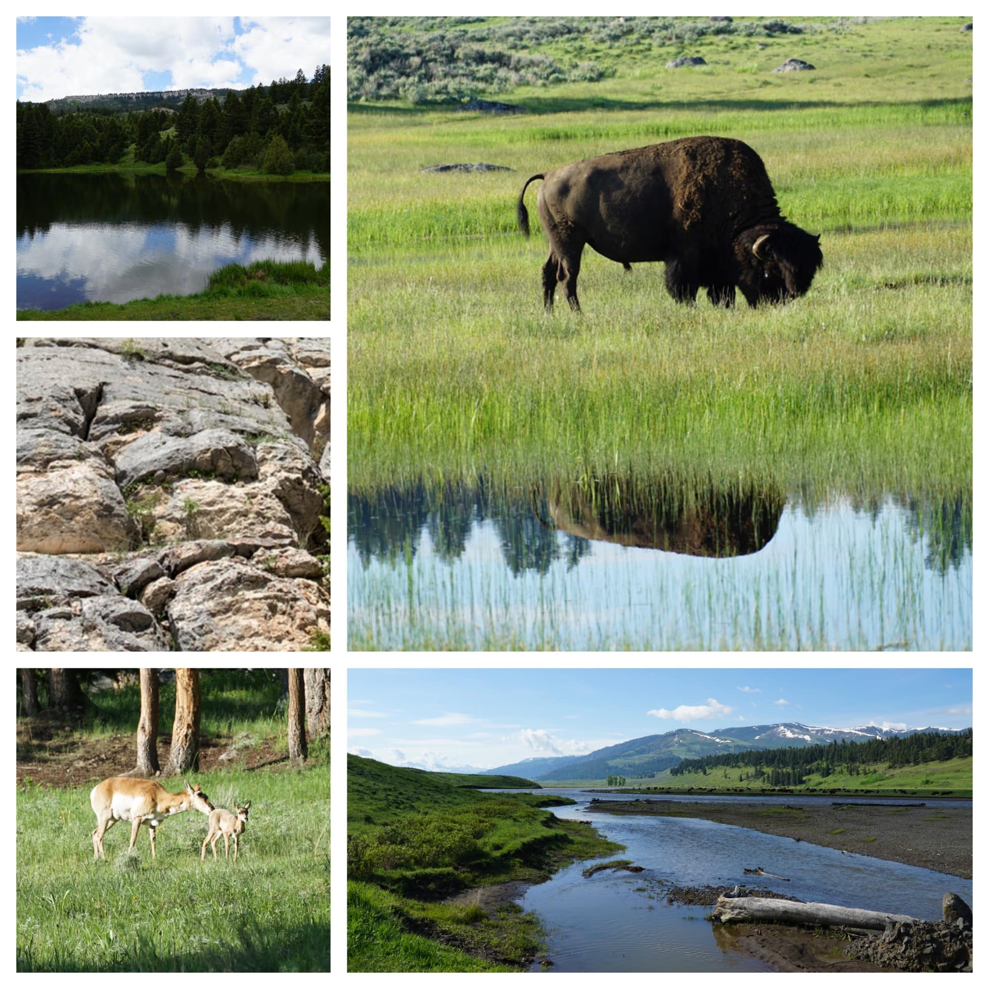 Montana & Glacier National Park — family travel photo 9