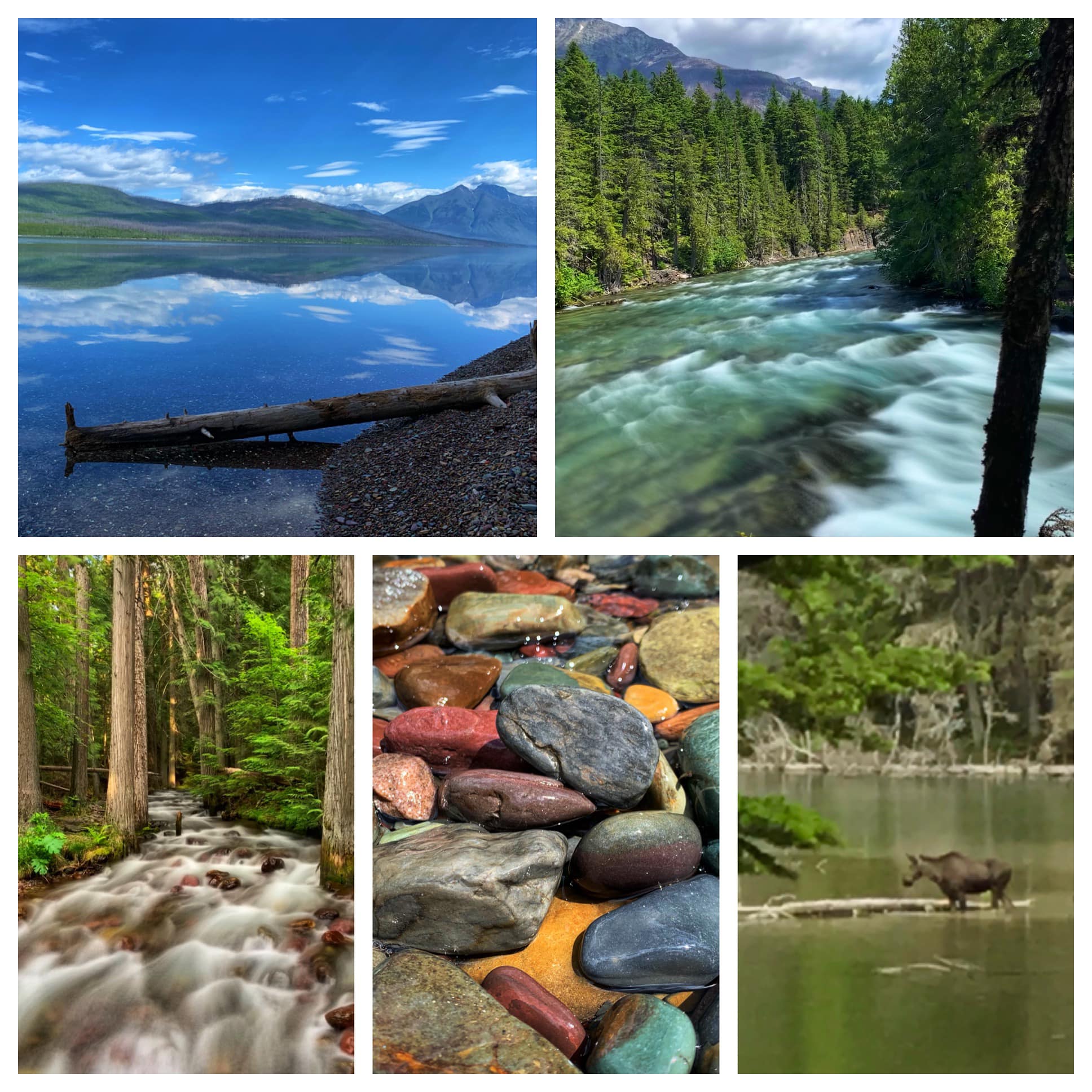 Montana & Glacier National Park — family travel photo 11
