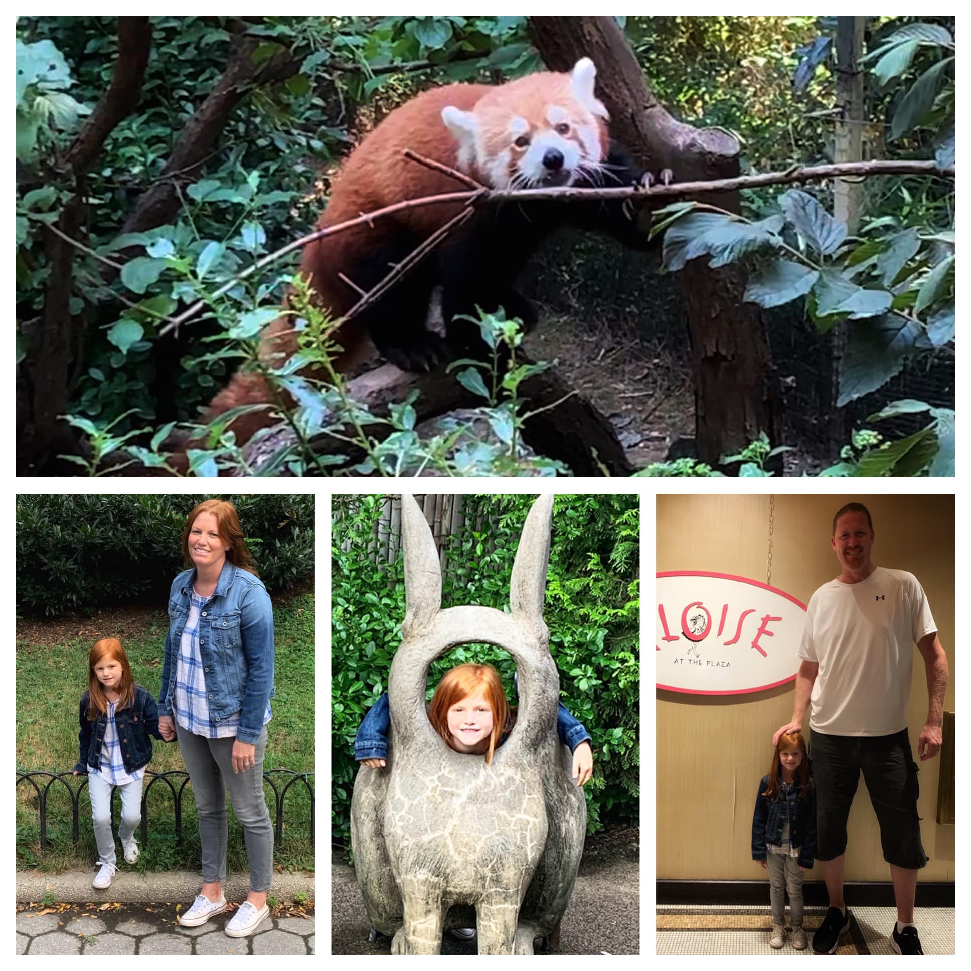 New York City — family travel photo 7