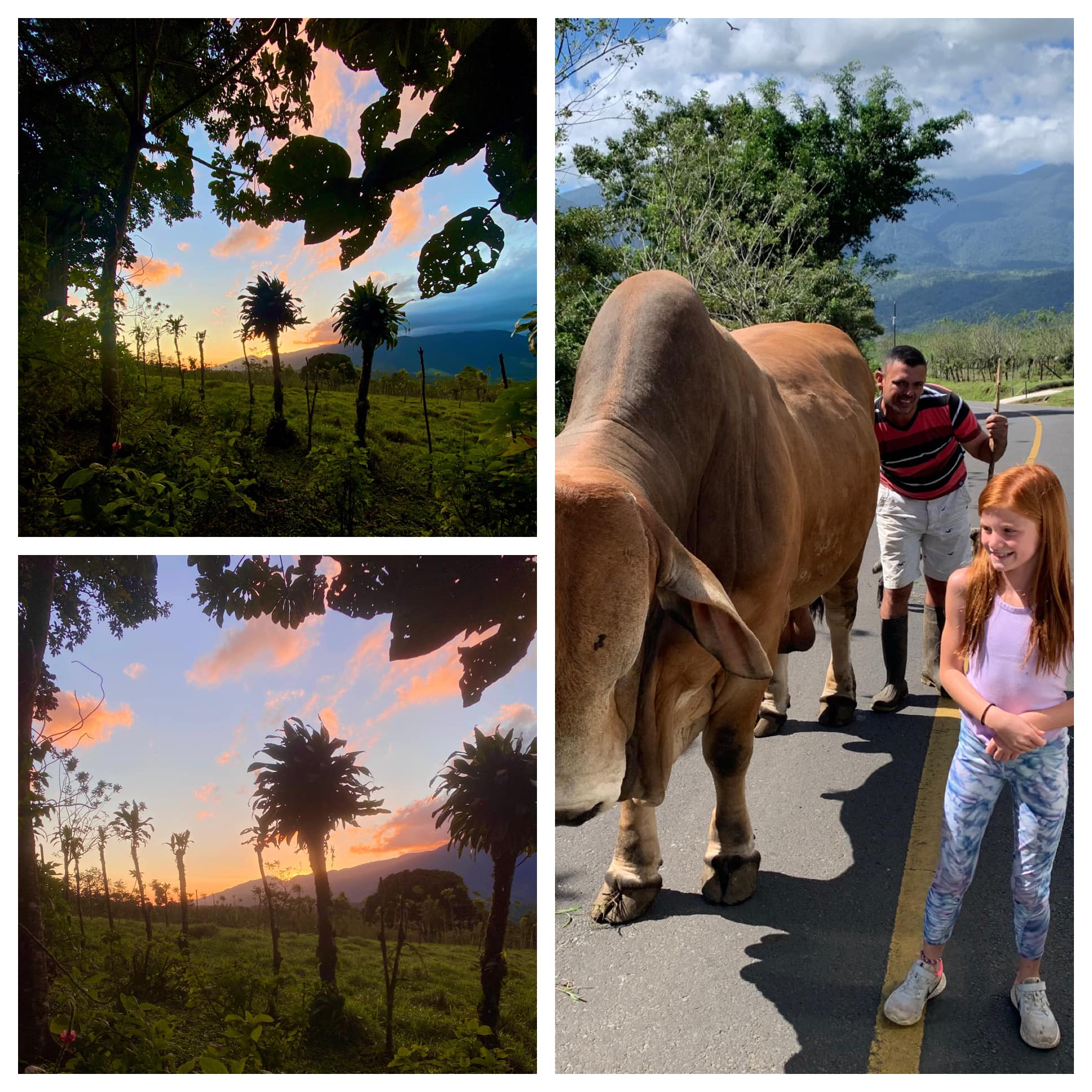 Costa Rica — Family Christmas — family travel photo 8