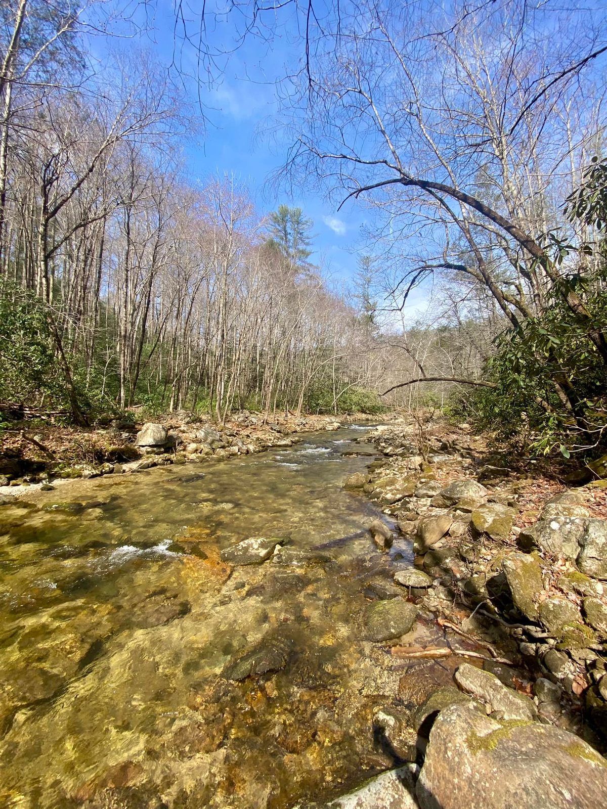 North Carolina Mountains — family travel photo 7