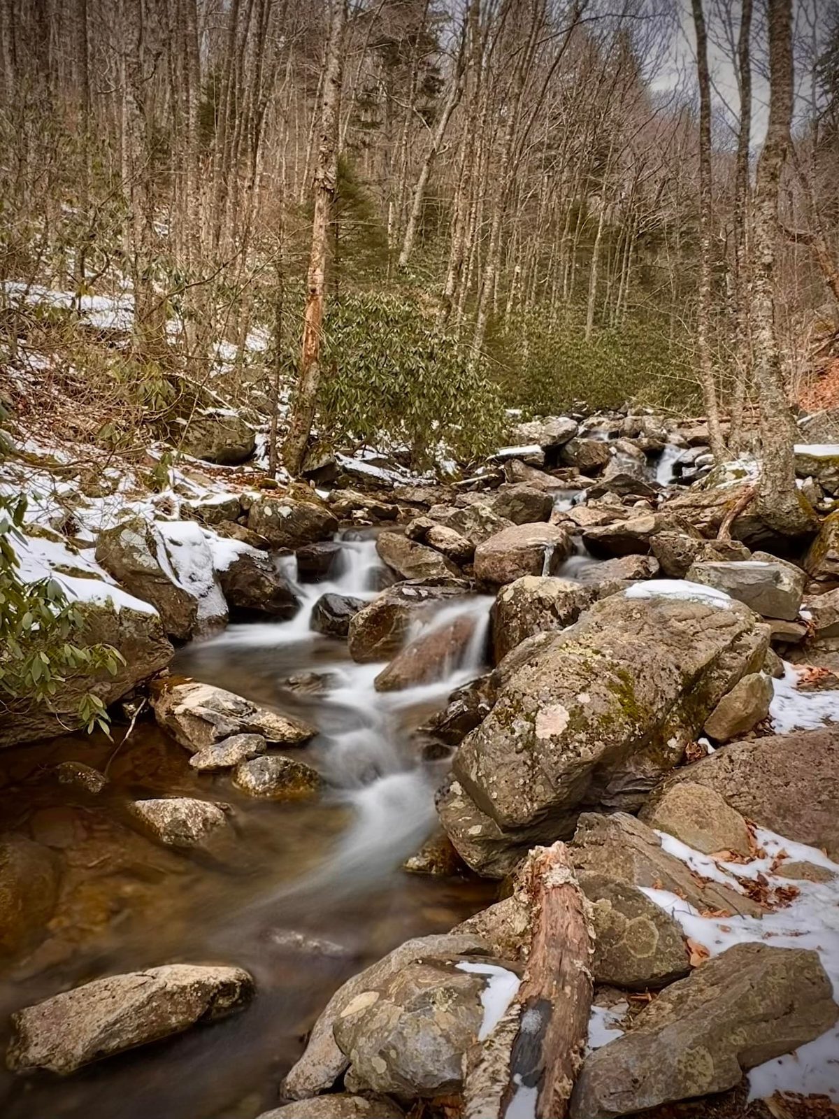 North Carolina — family travel photo 2