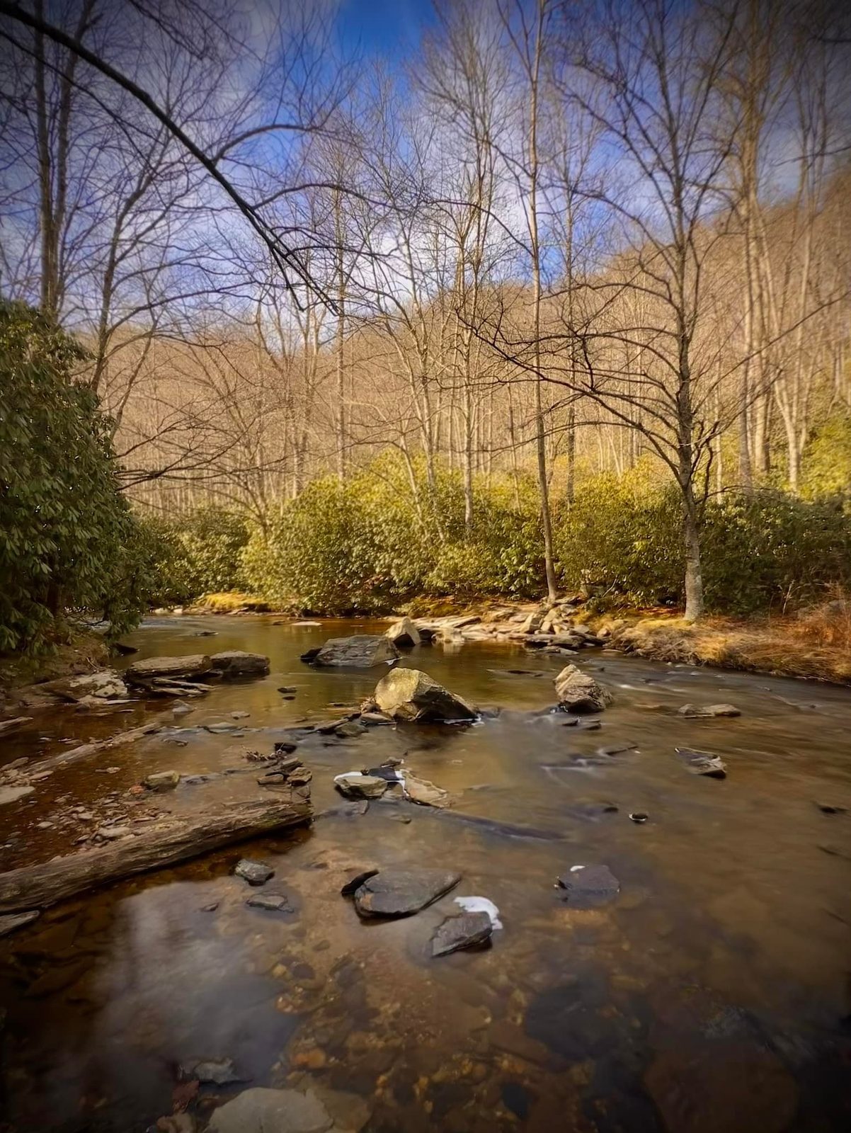 North Carolina — family travel photo 8