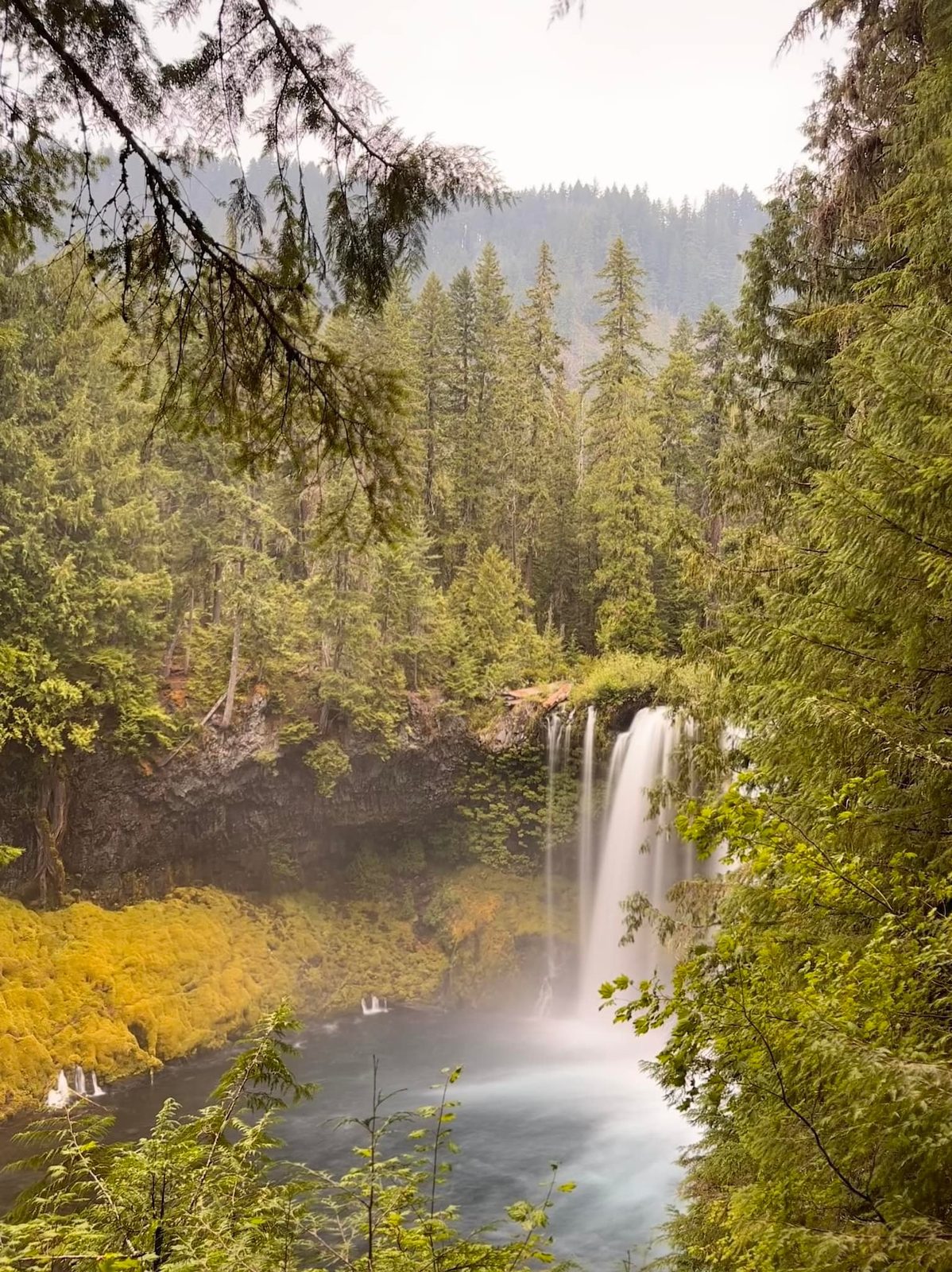 Oregon — family travel photo 8