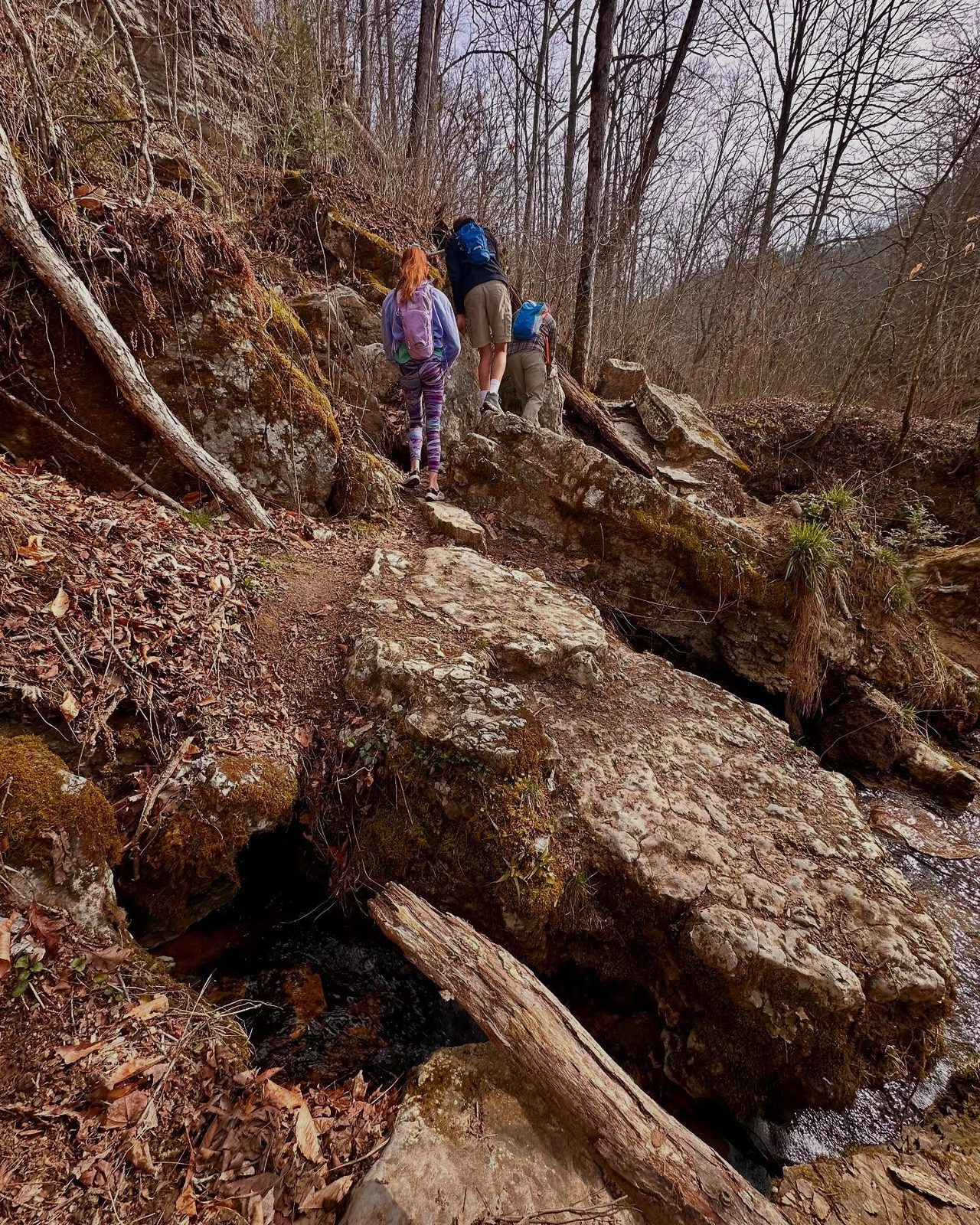 Kentucky — family travel photo 8