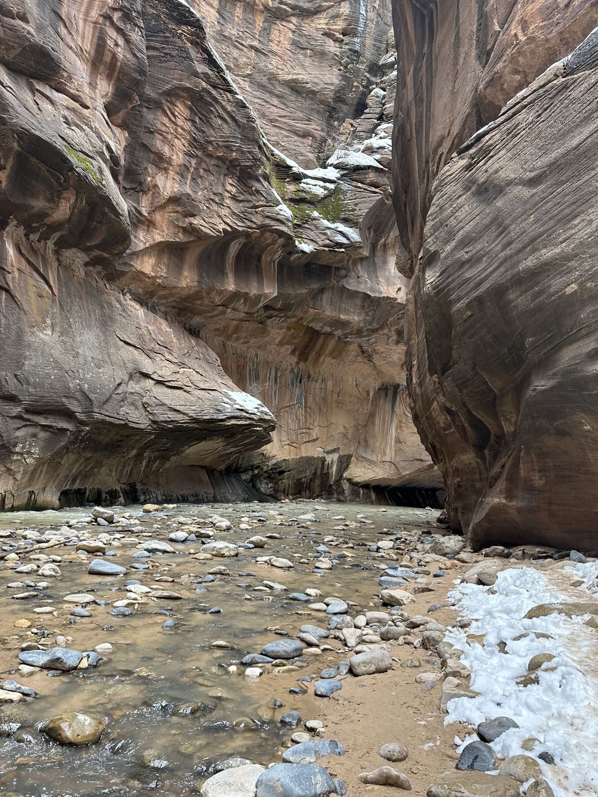 Zion National Park — family travel photo 36