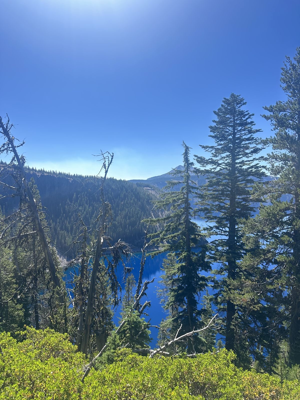 Oregon — family travel photo 36