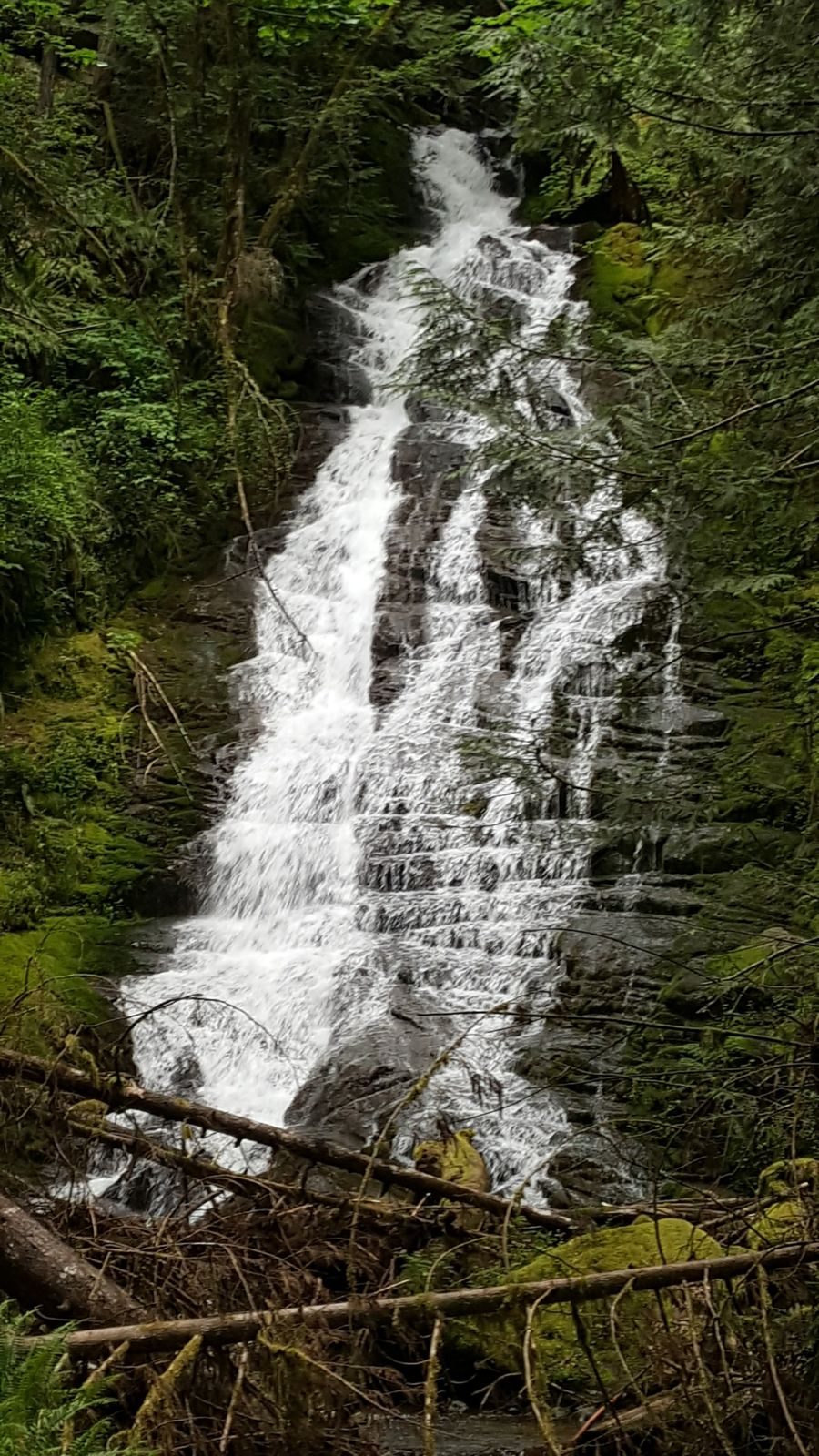 Pacific Northwest 2017: The Adventure Begins — family travel photo 7