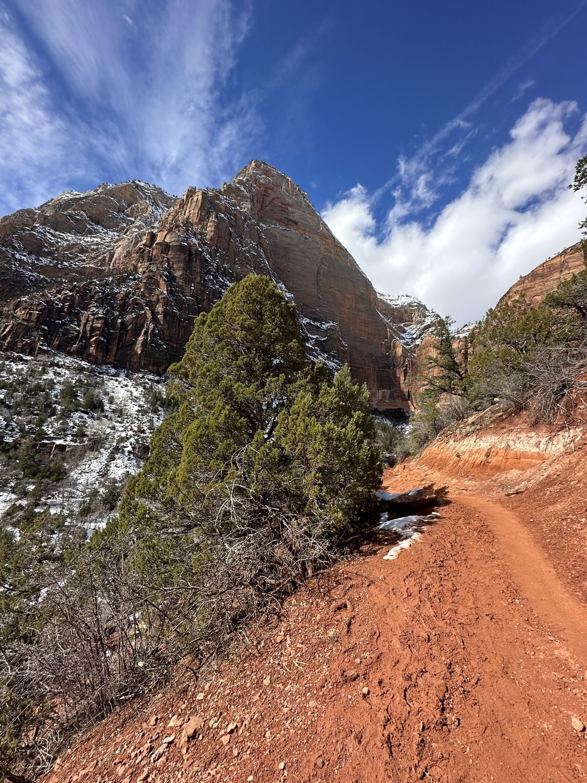 Zion National Park — family travel photo 19