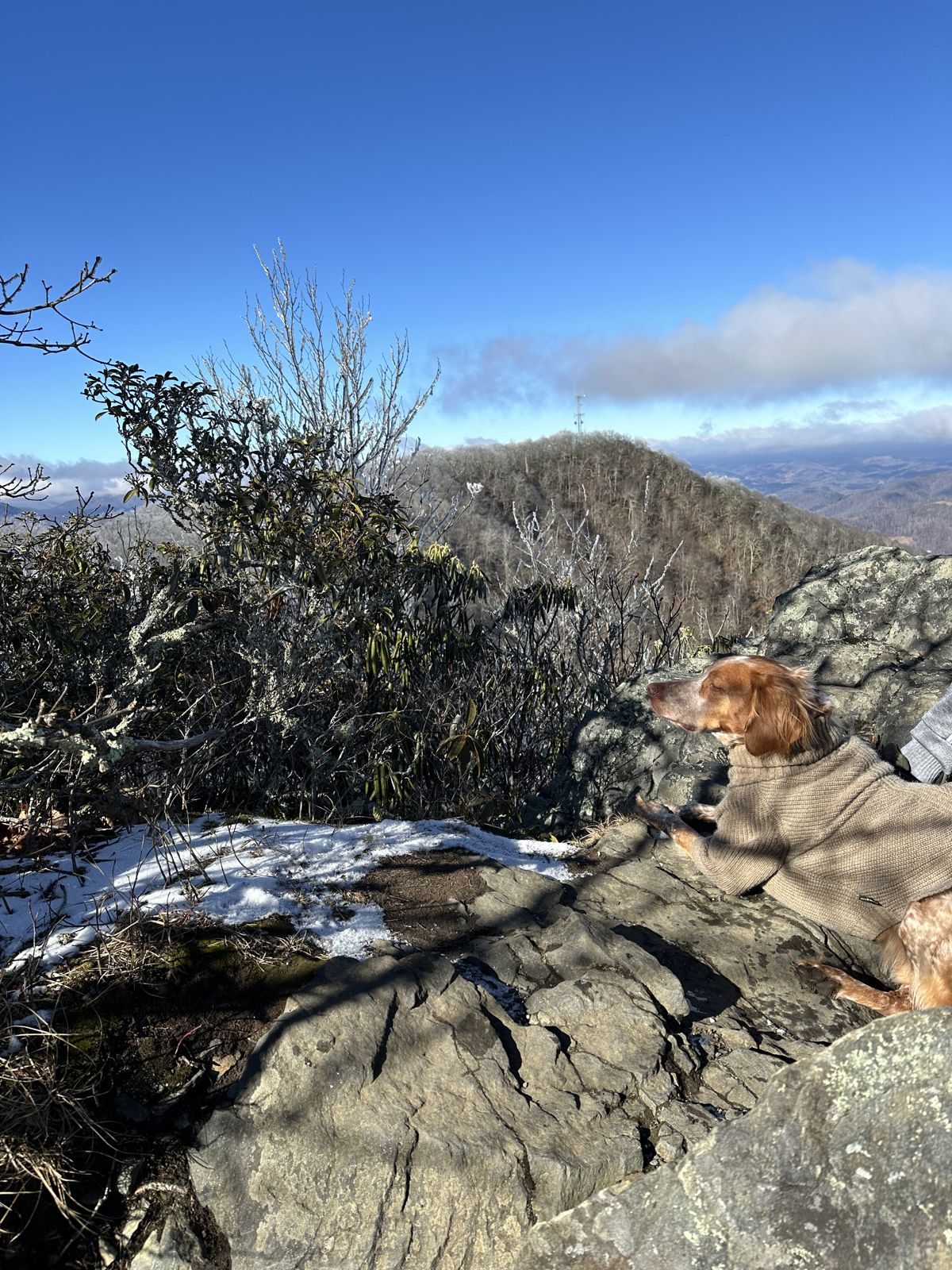 North Carolina — family travel photo 27