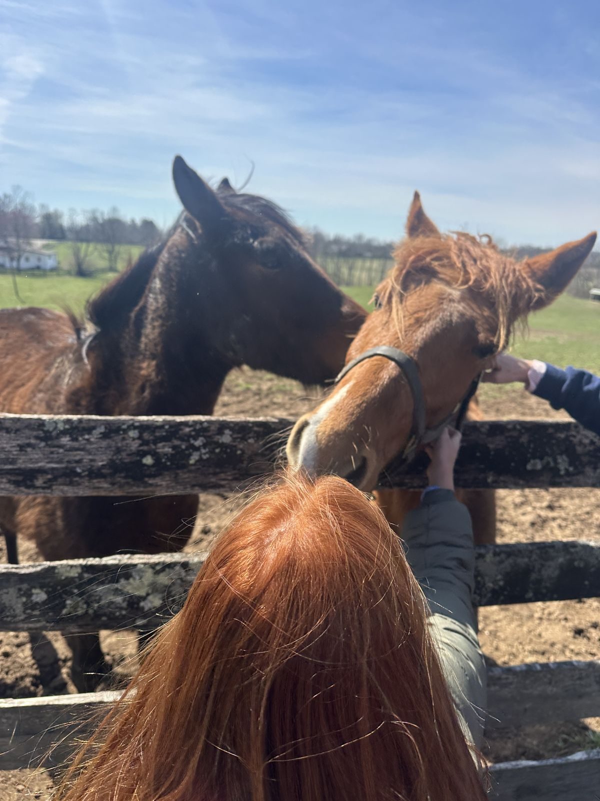 Kentucky — family travel photo 13
