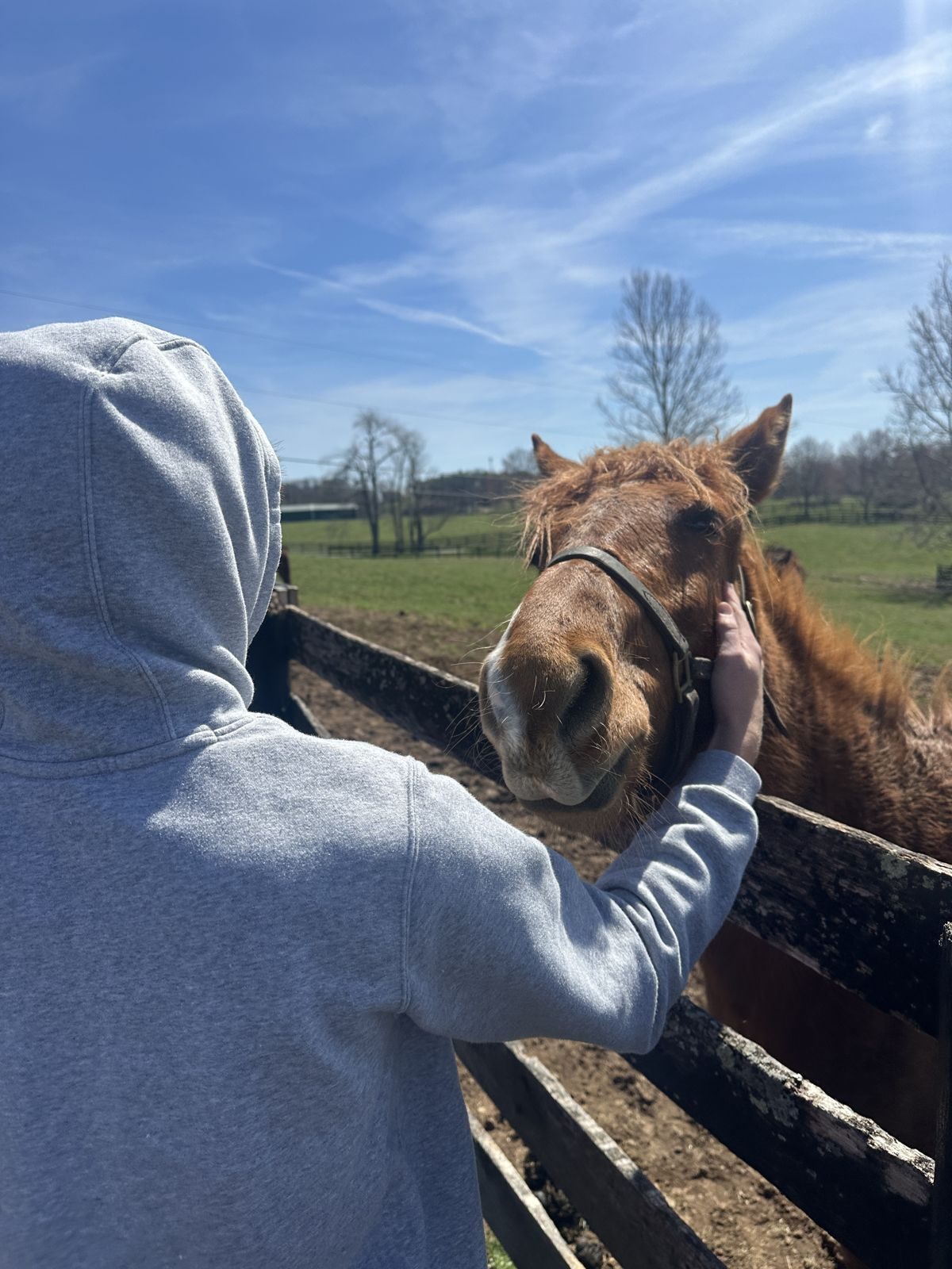 Kentucky — family travel photo 15