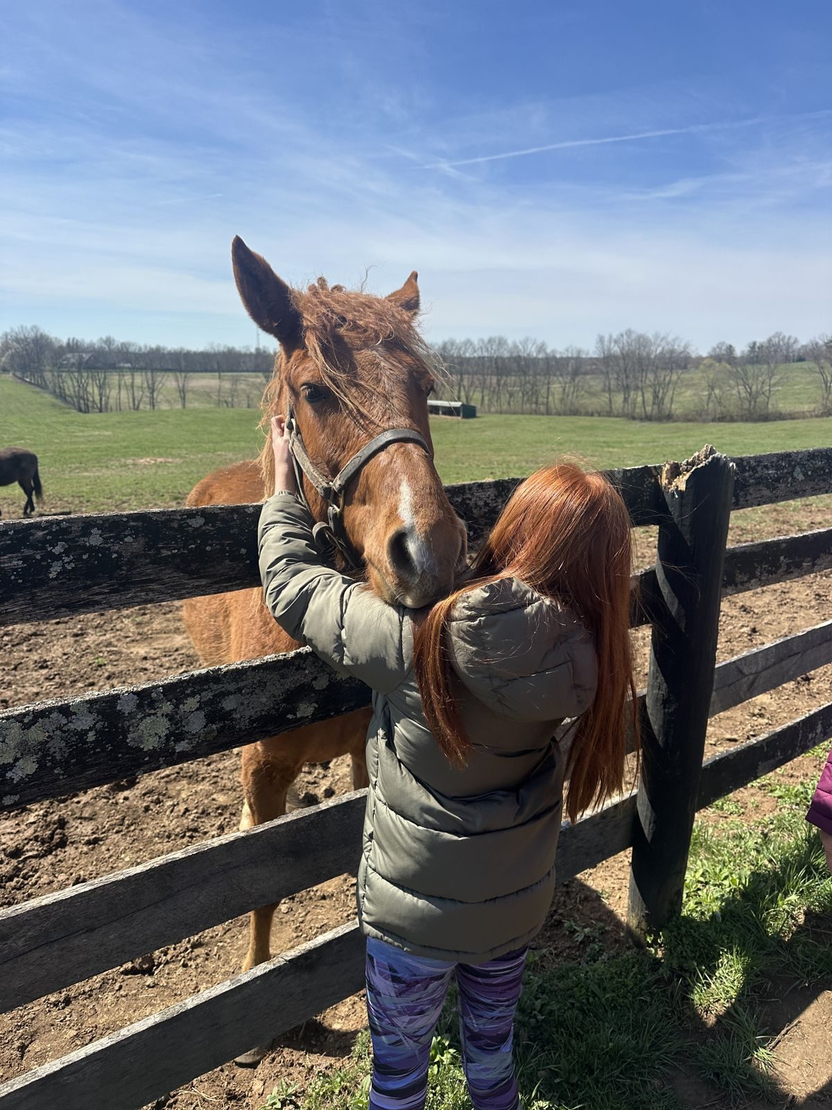 Kentucky — family travel photo 22