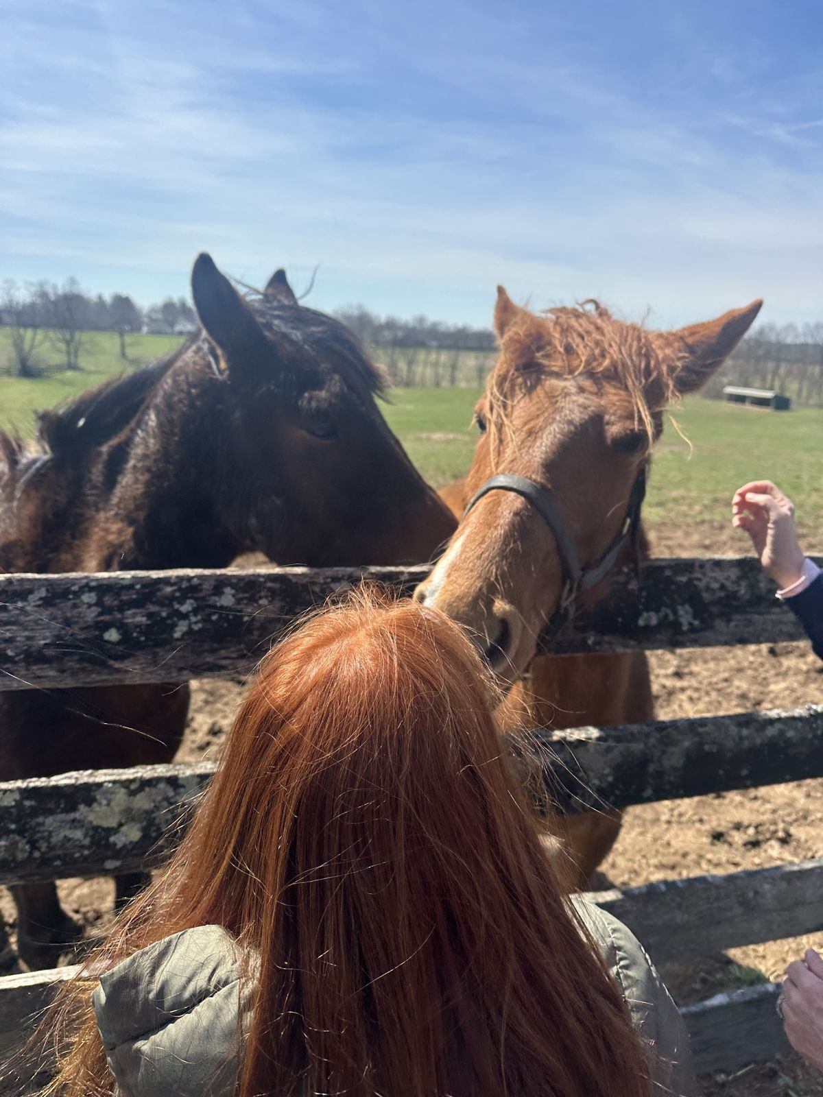 Kentucky — family travel photo 30