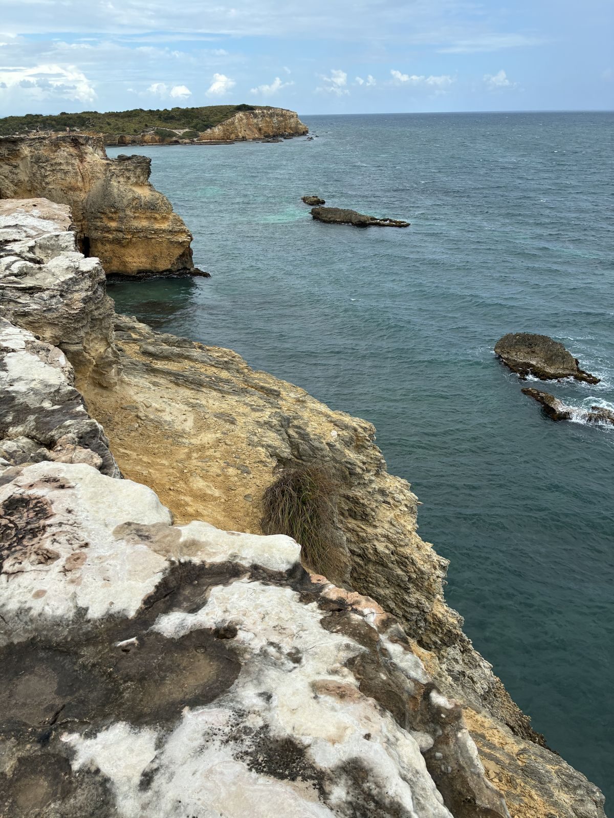 Puerto Rico — family travel photo 19