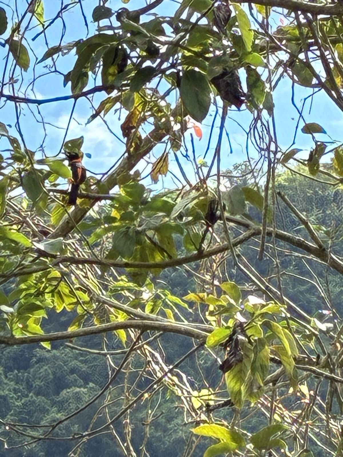 Puerto Rico — family travel photo 27