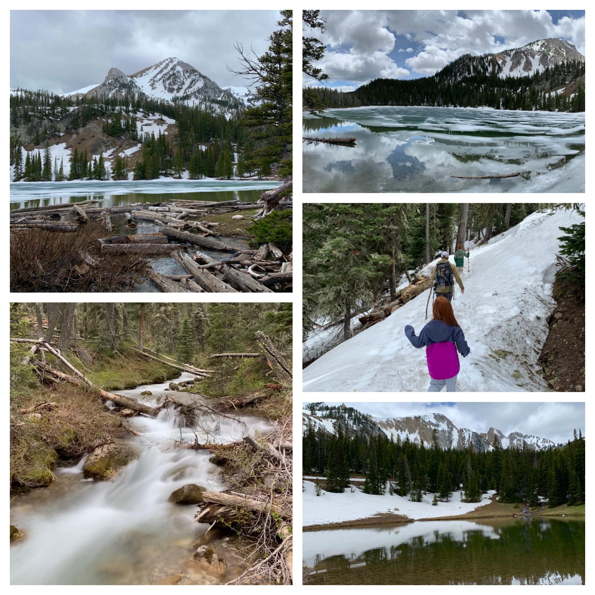 Bozeman, Montana! June 2019 — family travel photo 3