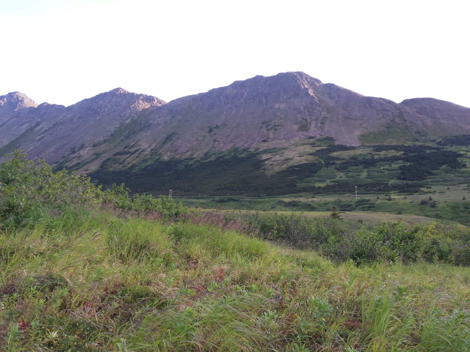 Alaska & the Canadian Rockies — Summer 2014 — family travel photo 5