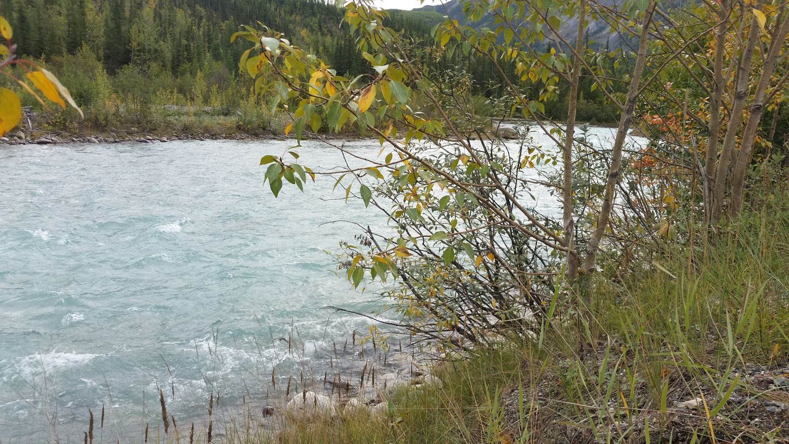 Canada — Summer 2015 — family travel photo 9