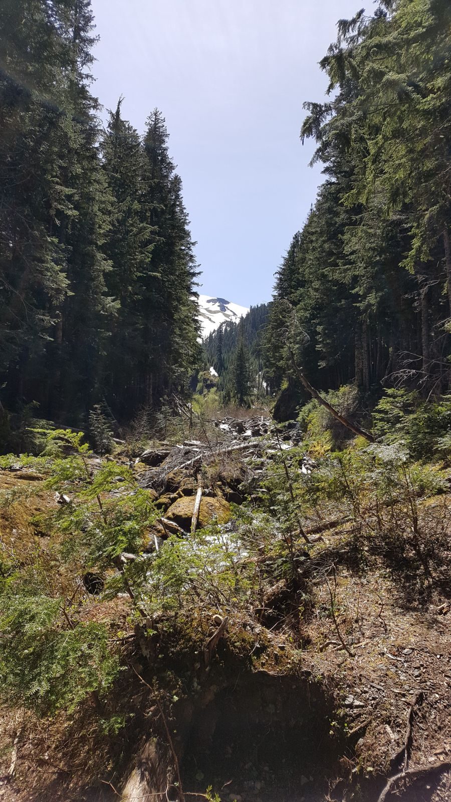 Pacific Northwest 2017: The Adventure Begins — family travel photo 20