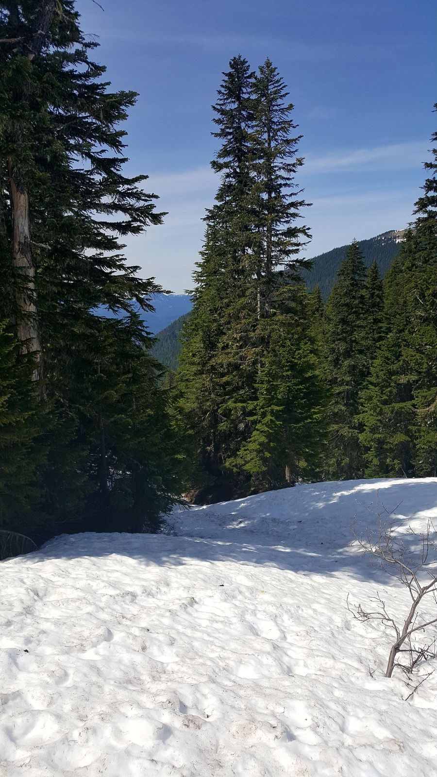Pacific Northwest 2017: The Adventure Begins — family travel photo 21
