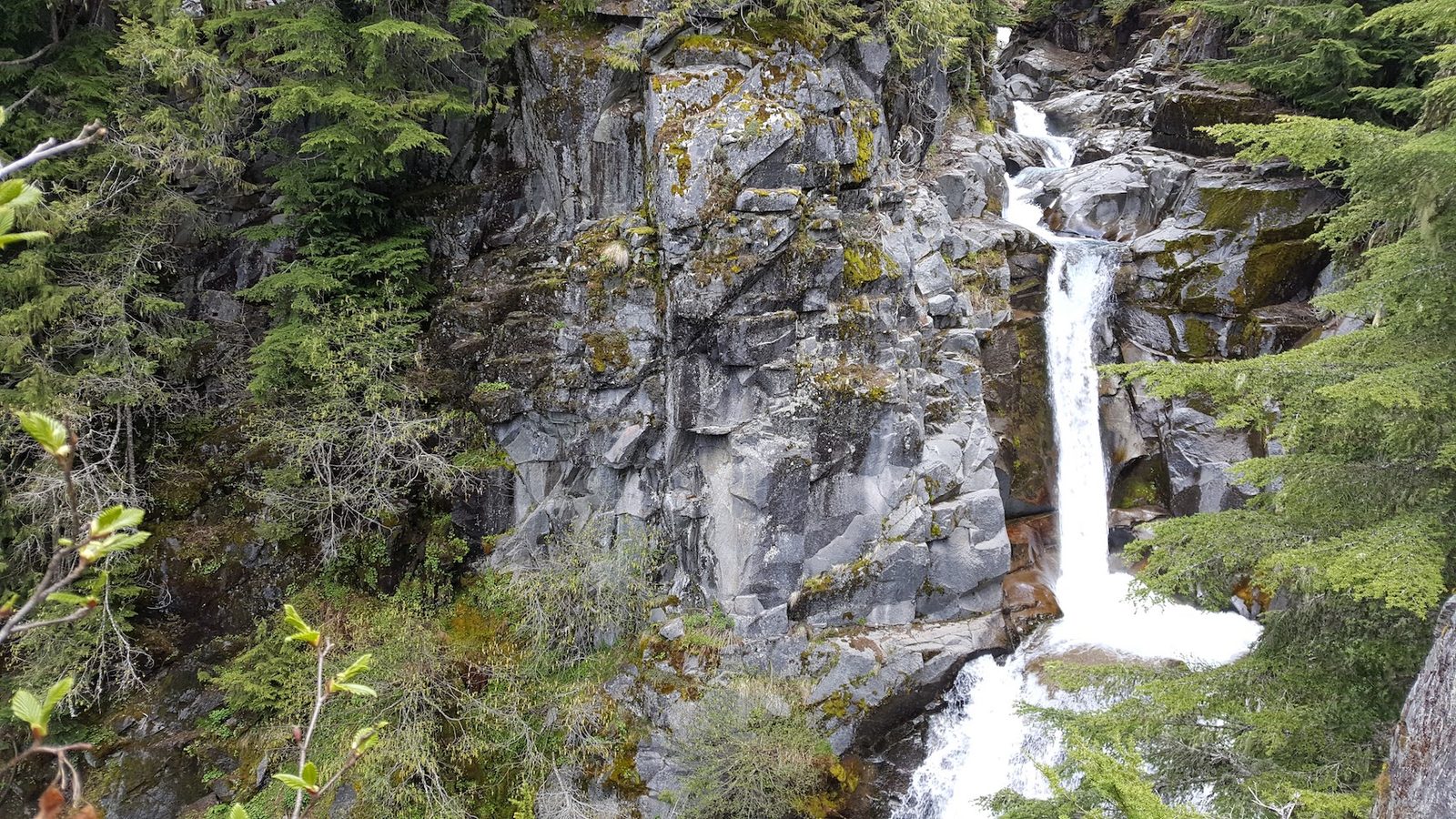 Pacific Northwest: Exploring Mt. Rainier — family travel photo 4