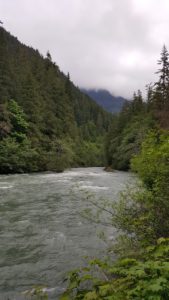Nooksack Creek from Snowater Resort - Pacific Northwest